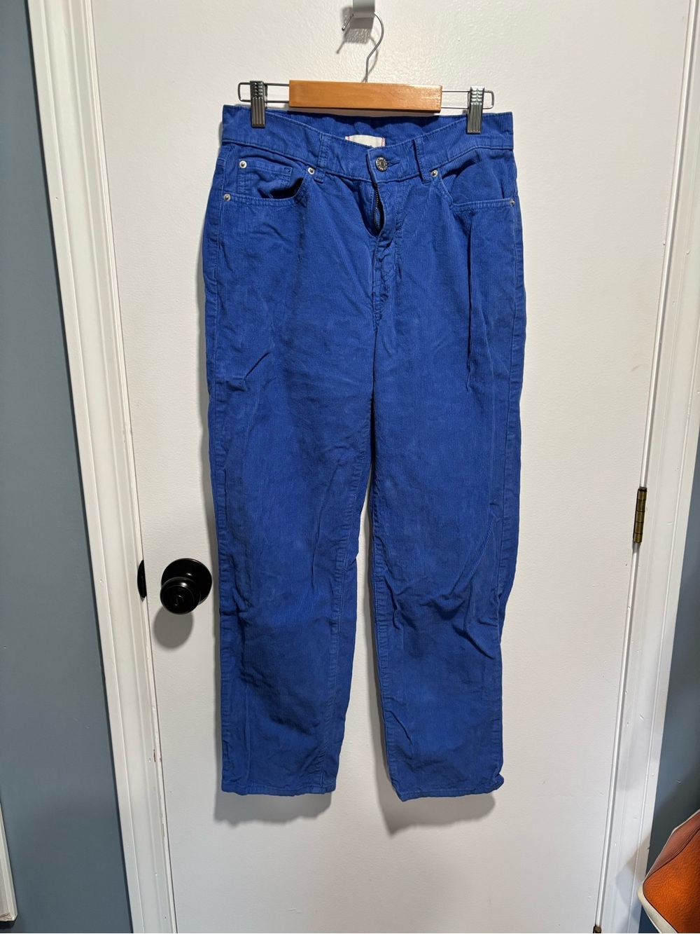 BDG Royal Blue Corduroy Pegged Cowboy Pants